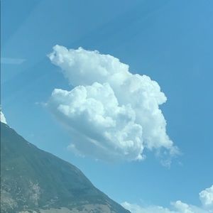 Meet your Posher, Ella